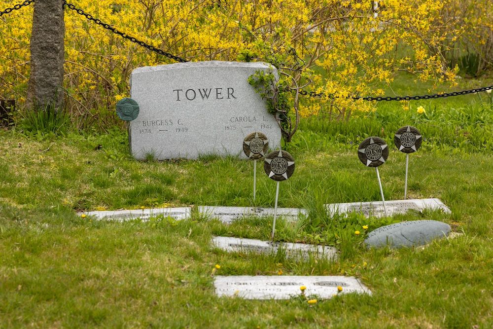 Tower Family plot closeup