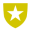 Military icon