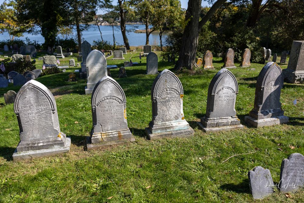 Cousens family plot before cleaning