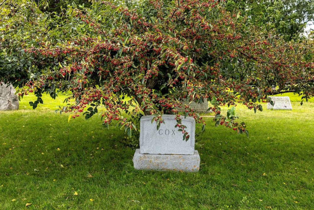 The headstone for Cox.