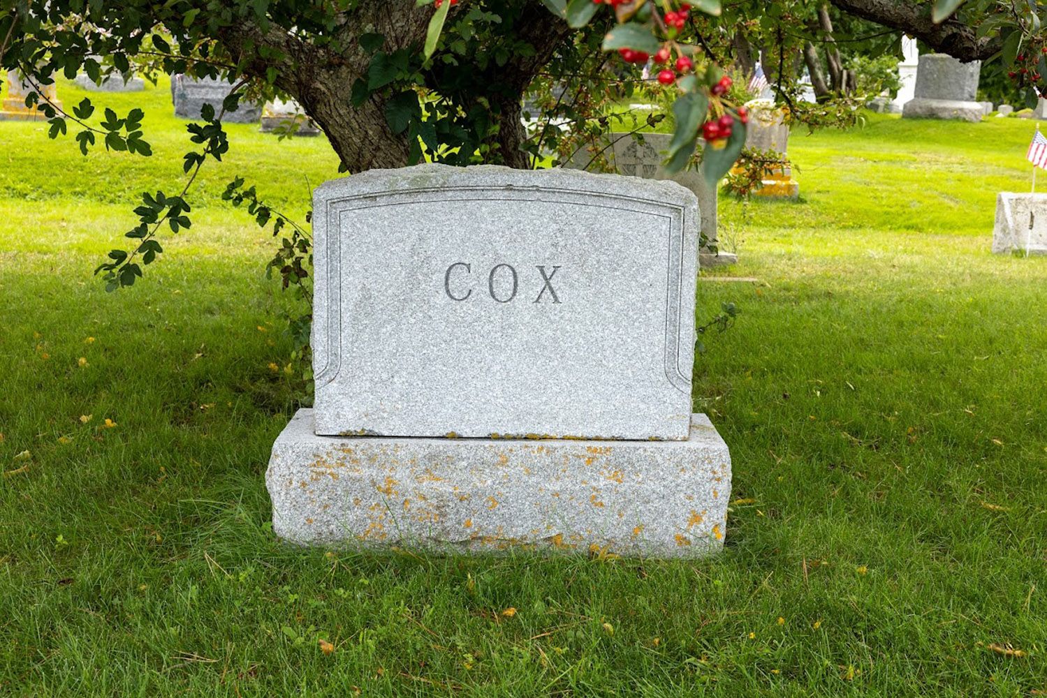 49. Jessie B. Cox, William C. Cox, Jane S. Cook