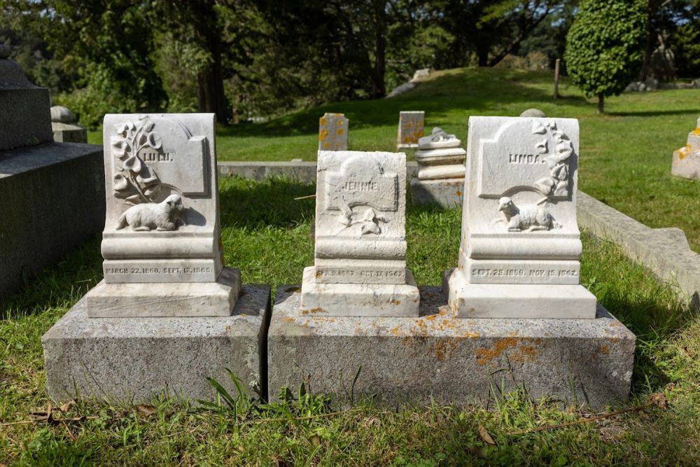 Tower family plot