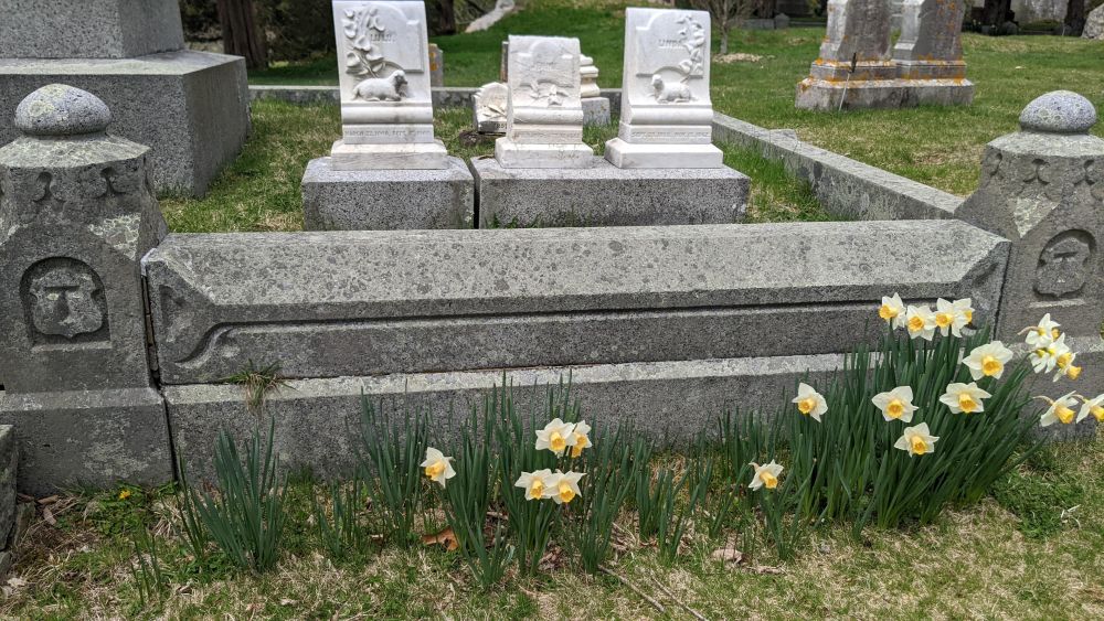 Tower family plot